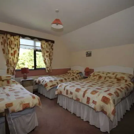 Pine Grove Hotel Oughterard